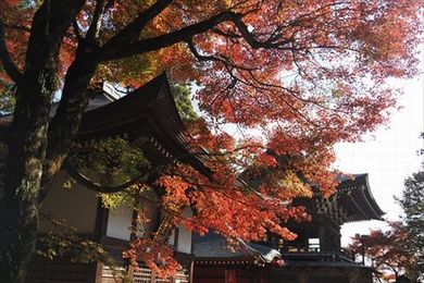 写真 14