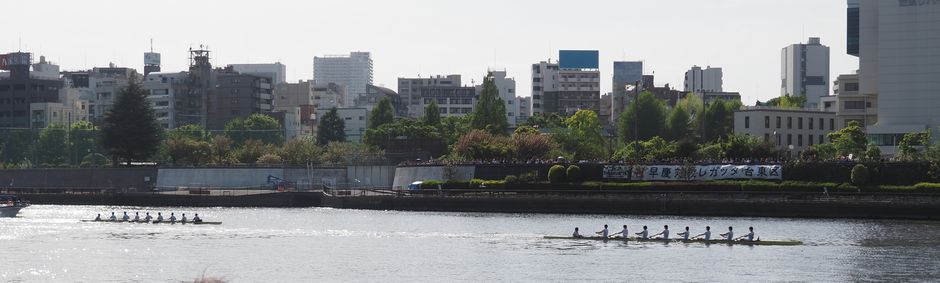 写真 6